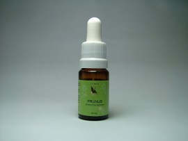 Floral Prunus 10 ml