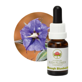 Floral Rough Bluebell 15 ml