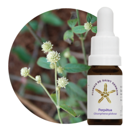 Floral Perptua 10 ml