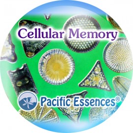 Cellular Memory Memria Celular 25 ml