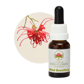 Floral Red Grevillea 15 ml