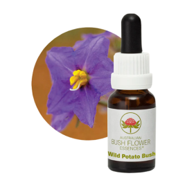 Floral Wild Potato Bush 15 ml