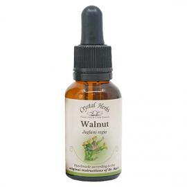 Floral Walnut 20 ml