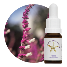 Floral Pectus 10ml