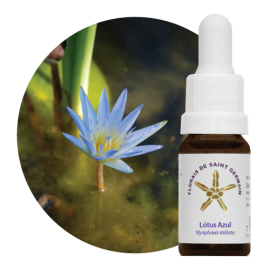 Floral Ltus Azul 10 ml 