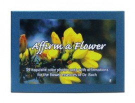 Kit de Cartes dos Florais de Bach