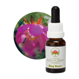 Floral Dog Rose 15 ml