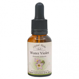 Floral Water Violet 20 ml