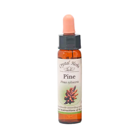 Pine Floral de Bach 10 ml