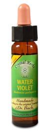Floral Water Violet 10 ml