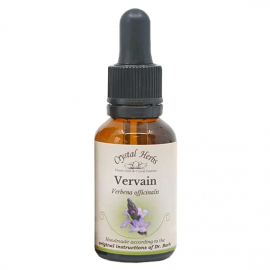 Floral Vervain 20 ml