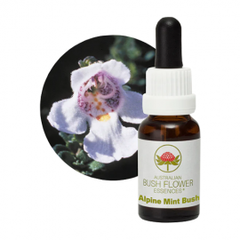 Floral Alpine Mint Bush 15 ml