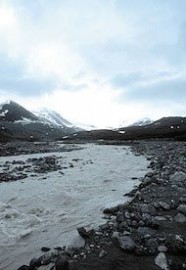 Essncia Ambiental Glacier River 