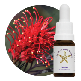 Floral Grevlea - 10 ml