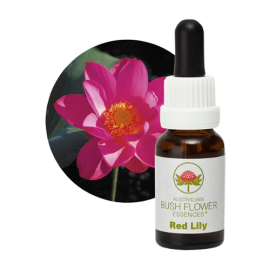 Floral Red Lily 15 ml