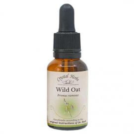 Floral Wild Oat 20 ml