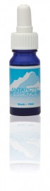 Floral Antarctic Essence 10 ml