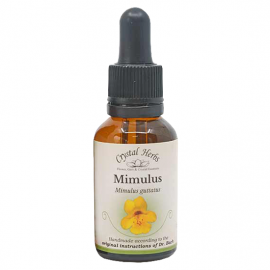 Floral Mimulus 20 ml