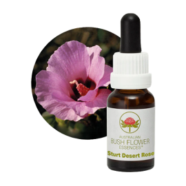 Floral Sturt Desert Rose 15 ml