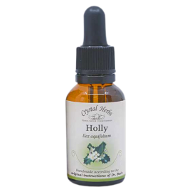 Floral Holly 20 ml