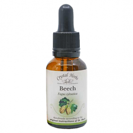 Floral Beech 20 ml