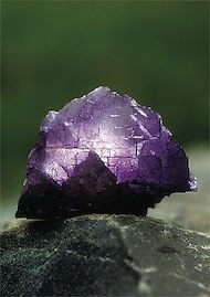 Essncia Mineral Fluorite ALA