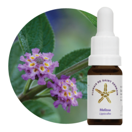 Floral Melissa 10 ml