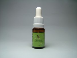 Floral Ageratum 10 ml