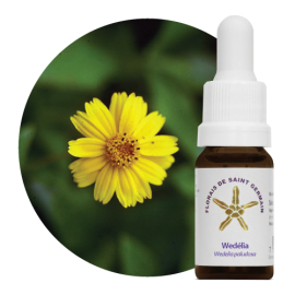 Floral Wedlia 10 ml