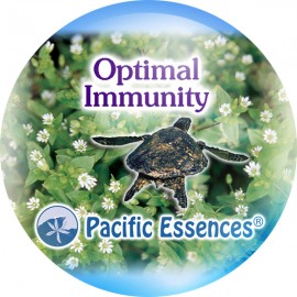 Optimal Immunity Imunidade 25 ml