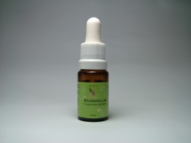 Floral Bougainvillea 10 ml