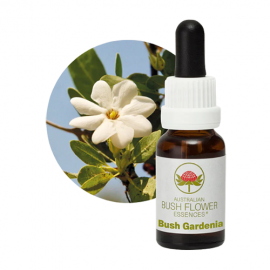 Floral Bush Gardenia 15 ml