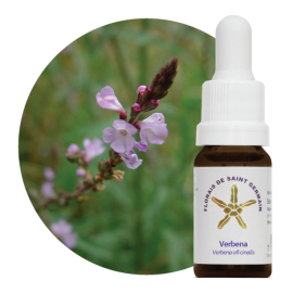 Floral Verbena 10 ml