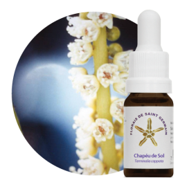 Floral Chapu de Sol 10 ml