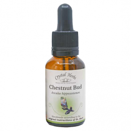 Floral Chestnut Bud 20 ml