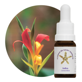 Floral Indica 10 ml