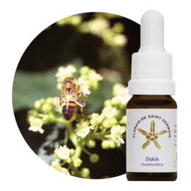 Floral Dulcis 10 ml