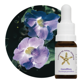 Floral Grandiflora 10 ml