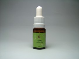 Floral Lippia 10 ml