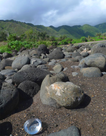 Essncia Ambiental Sacred Quest