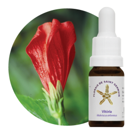 Floral Vitria 10 ml