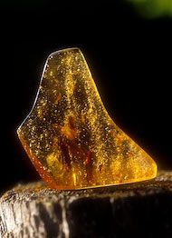 Essncia Mineral Amber ALA