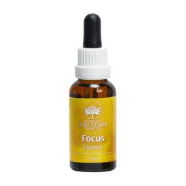 Floral Focus Cognis Aprendizado e Autoexpresso 30 ml