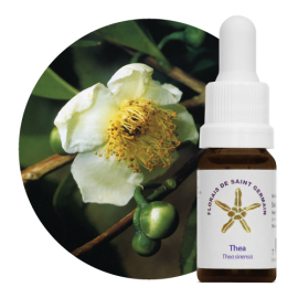 Floral Thea 10 ml