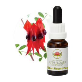 Floral Sturt Desert Pea 15 ml