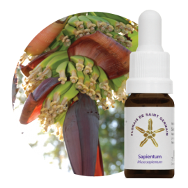 Floral Sapientum 10 ml