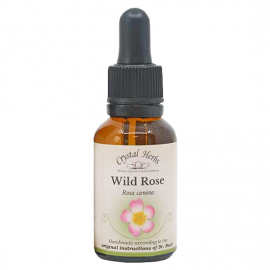 Floral Wild Rose 20 ml