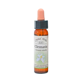 Clematis Floral de Bach 10 ml