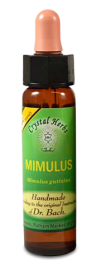 Floral Mimulus 10 ml