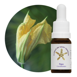 Floral Pepo 10 ml